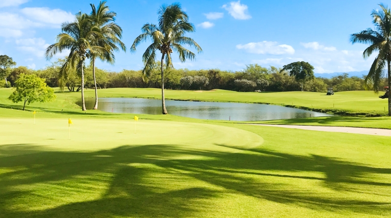 Golfplatz mit Teich und Kokospalmen Golfplatz mit Teich und Kokospalmen